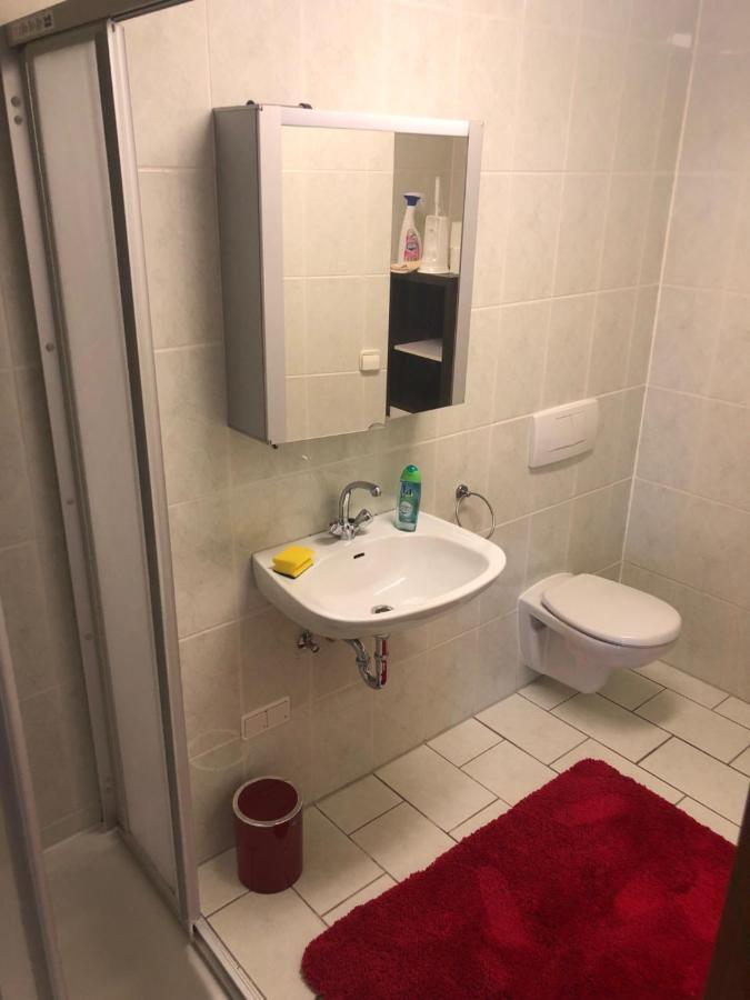 1-Zimmer Apartment, 45 Qm, Im Weinort Neustadt-Duttweiler Neustadt an der Weinstraße Екстериор снимка
